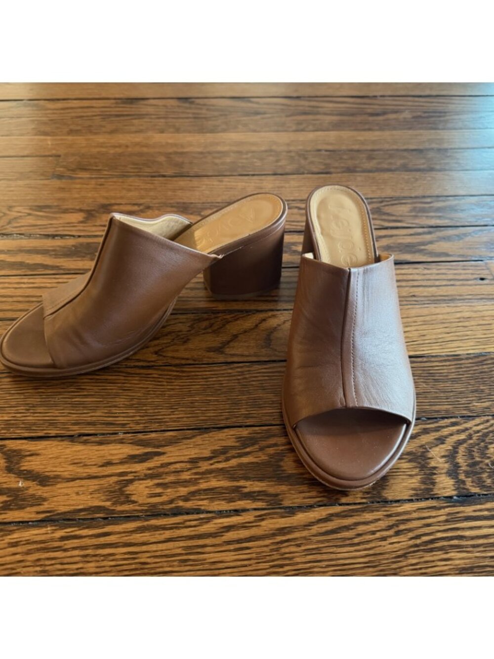 Aeyde Leather Mule Sandals